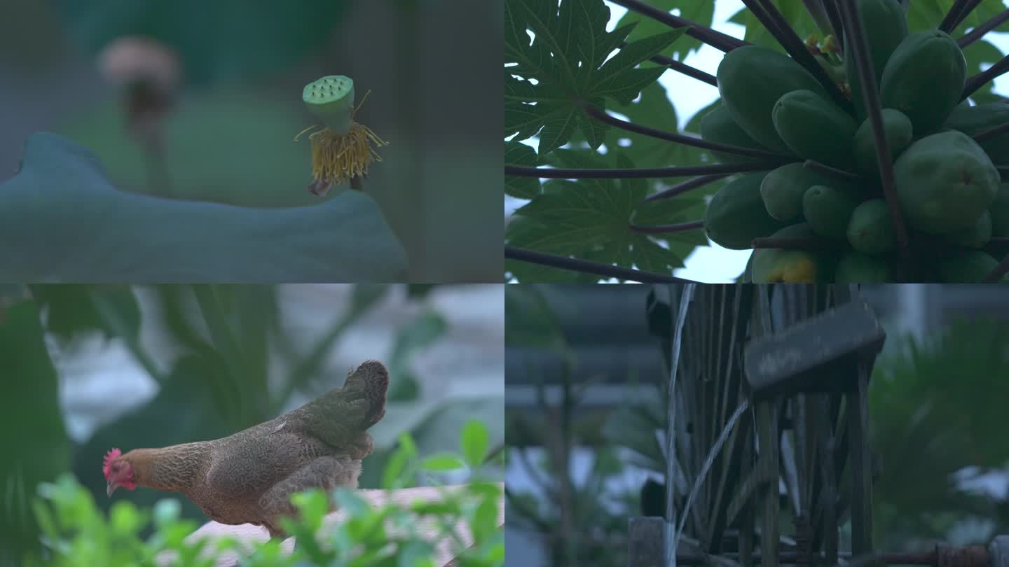 虚拟农家视频下载-(虚拟乡村家庭中文版)